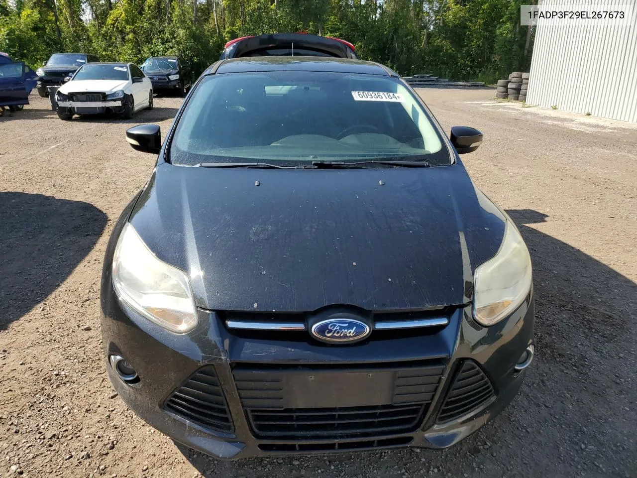 1FADP3F29EL267673 2014 Ford Focus Se