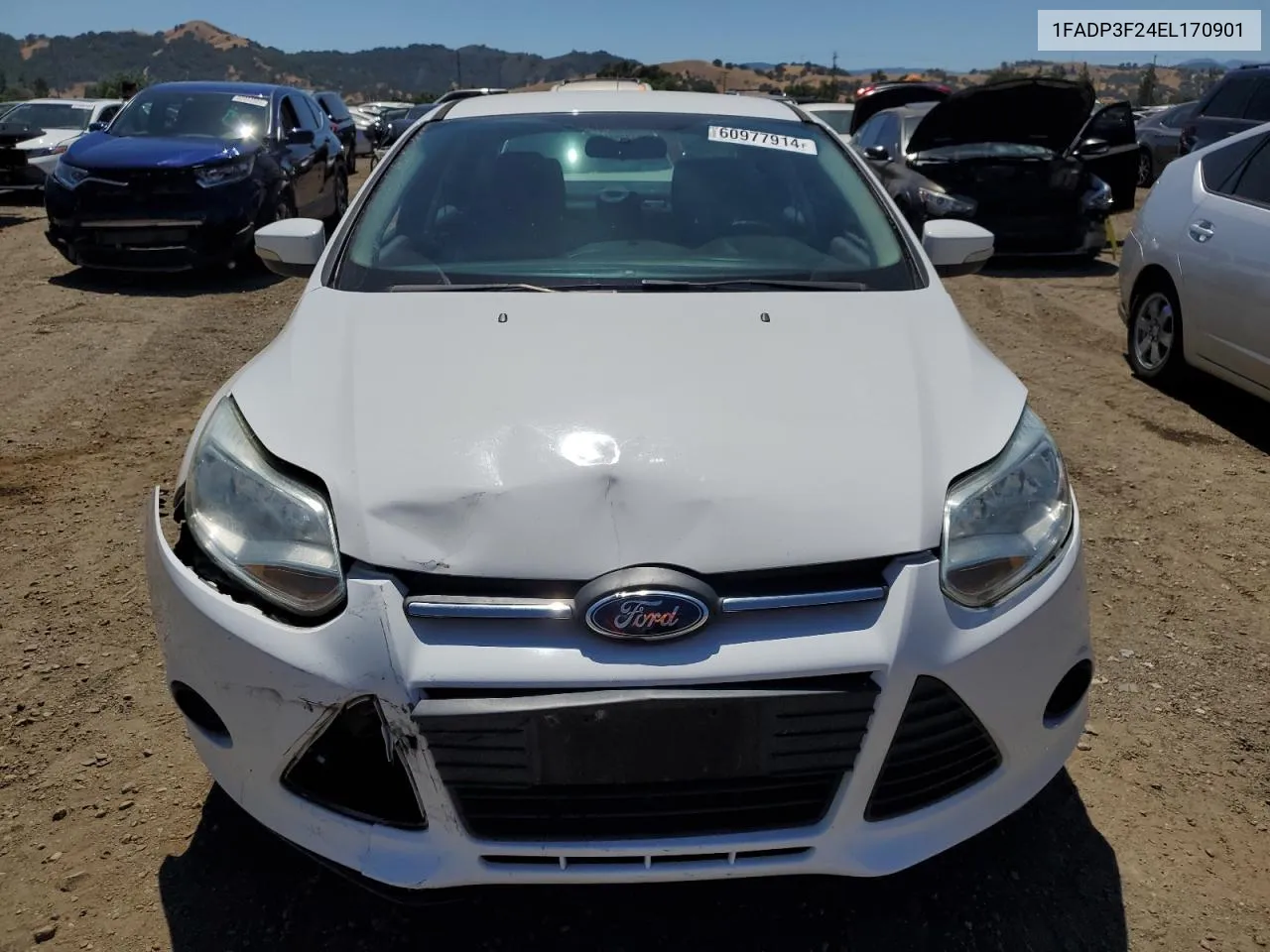 2014 Ford Focus Se VIN: 1FADP3F24EL170901 Lot: 60977914