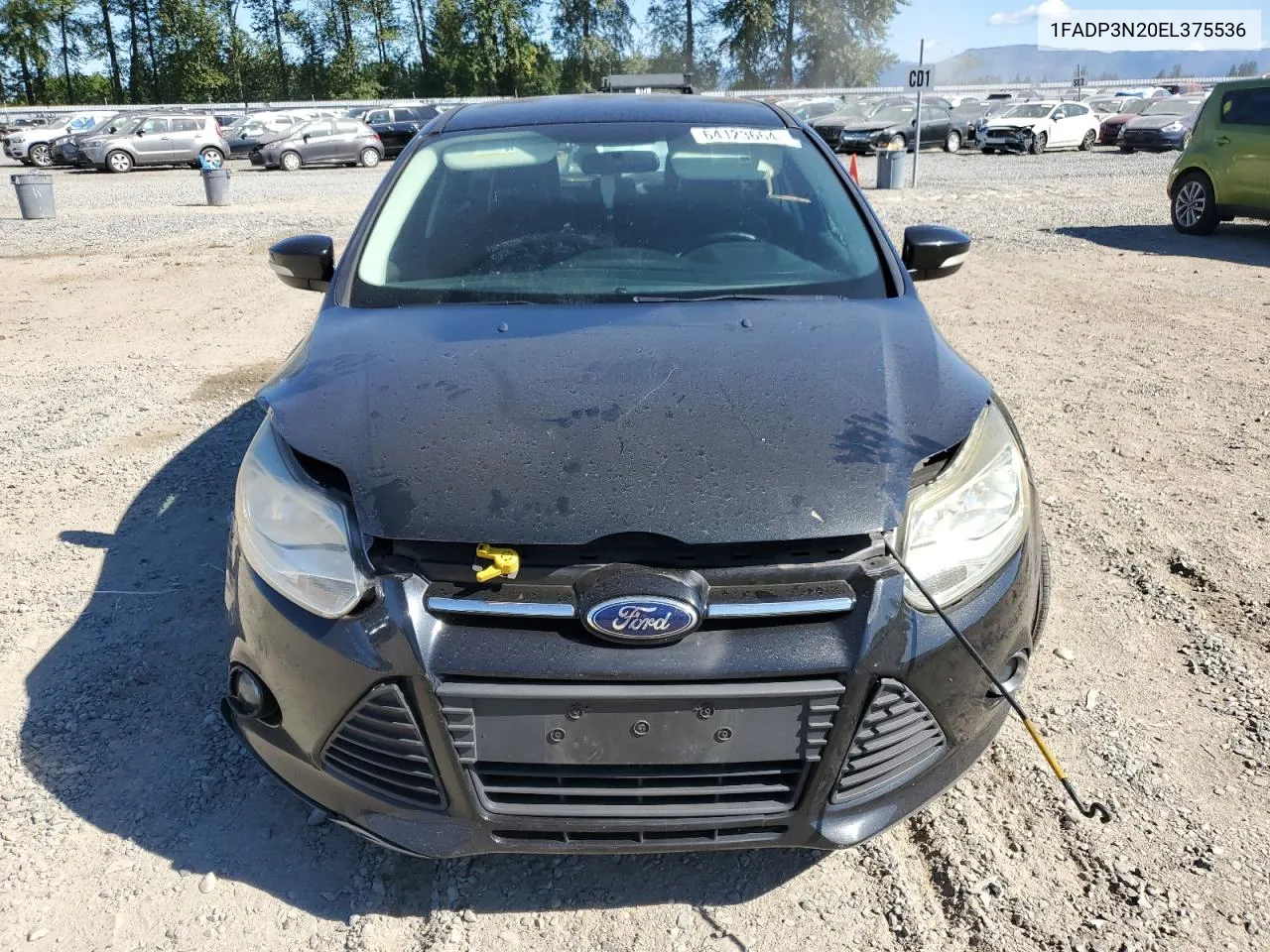 2014 Ford Focus Titanium VIN: 1FADP3N20EL375536 Lot: 64123664