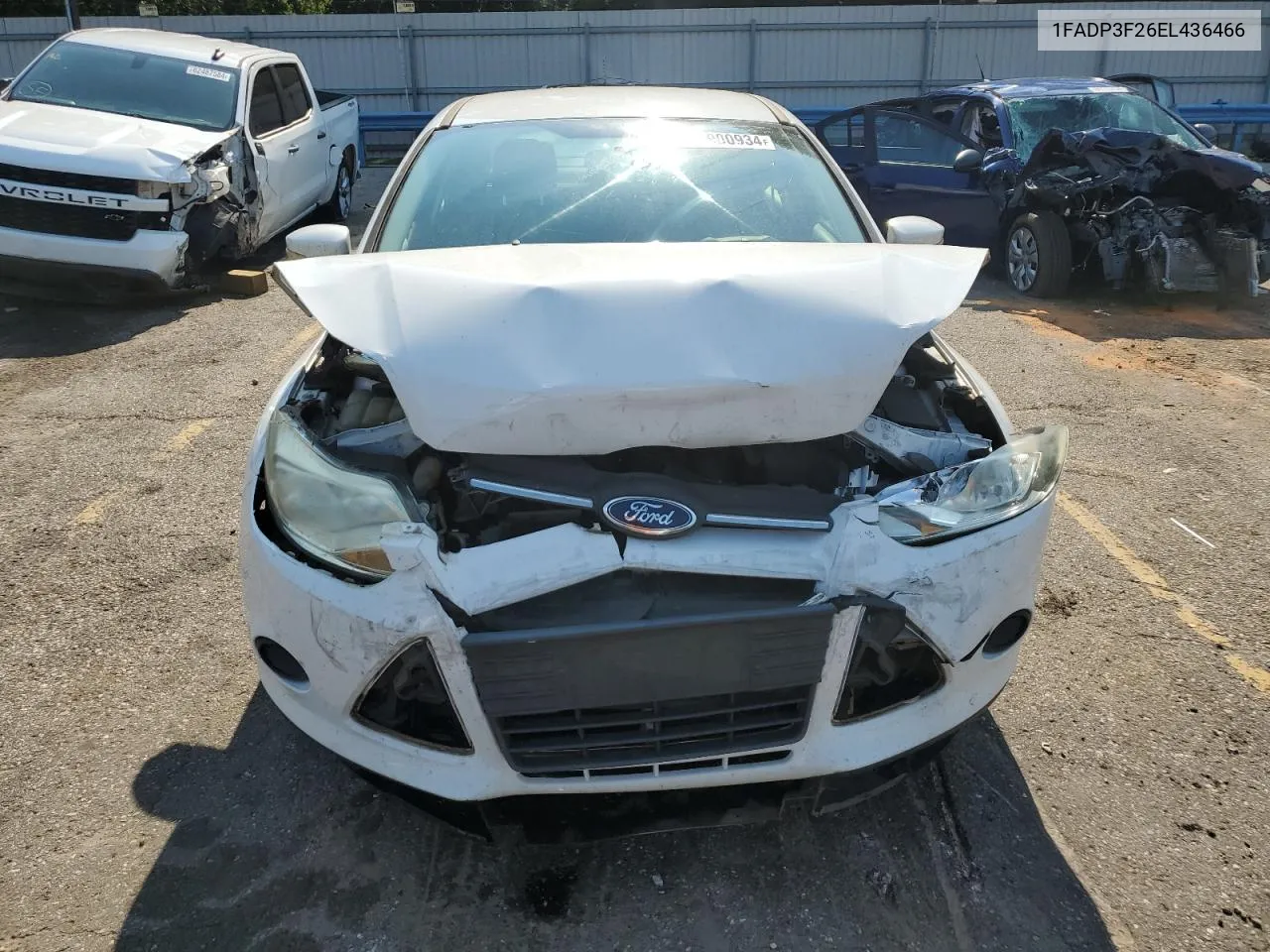 1FADP3F26EL436466 2014 Ford Focus Se