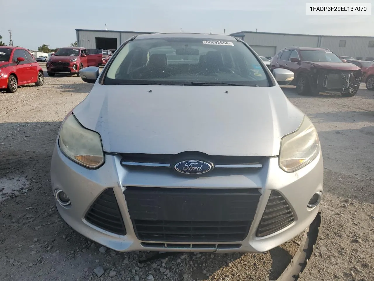 2014 Ford Focus Se VIN: 1FADP3F29EL137070 Lot: 66062654