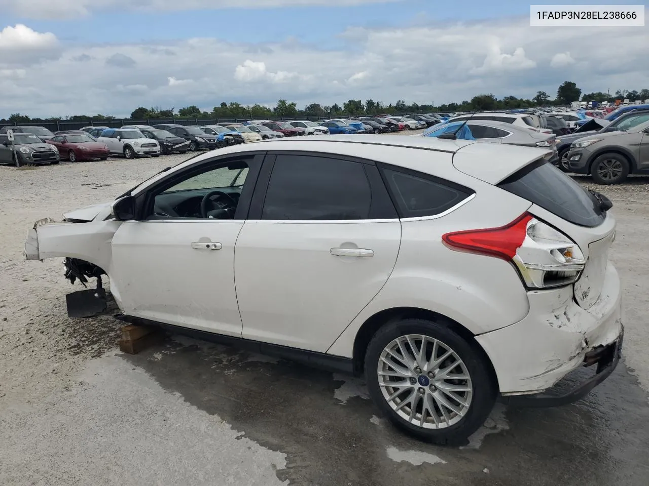 2014 Ford Focus Titanium VIN: 1FADP3N28EL238666 Lot: 66465444