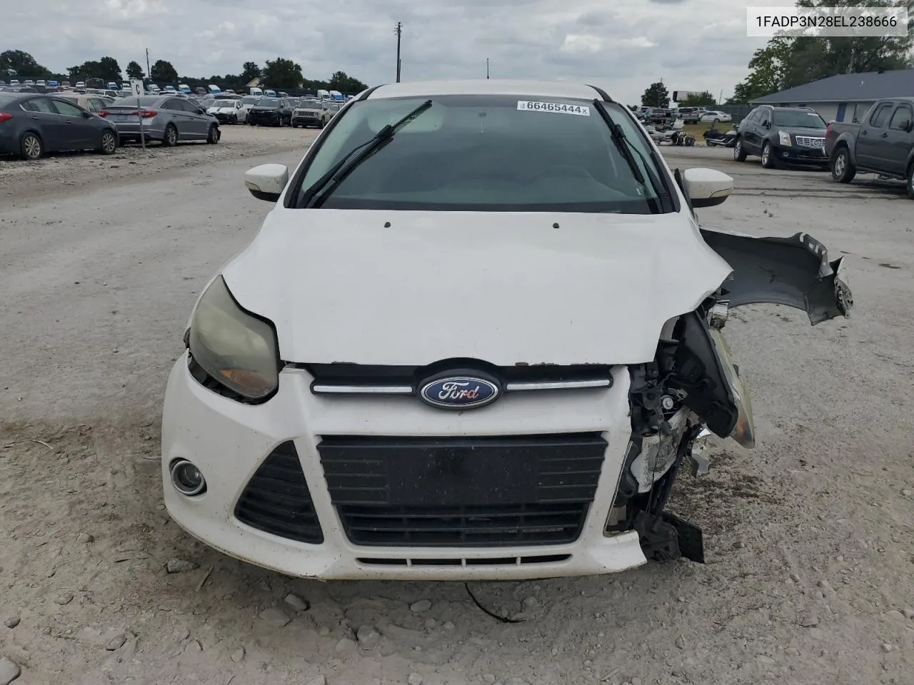 2014 Ford Focus Titanium VIN: 1FADP3N28EL238666 Lot: 66465444