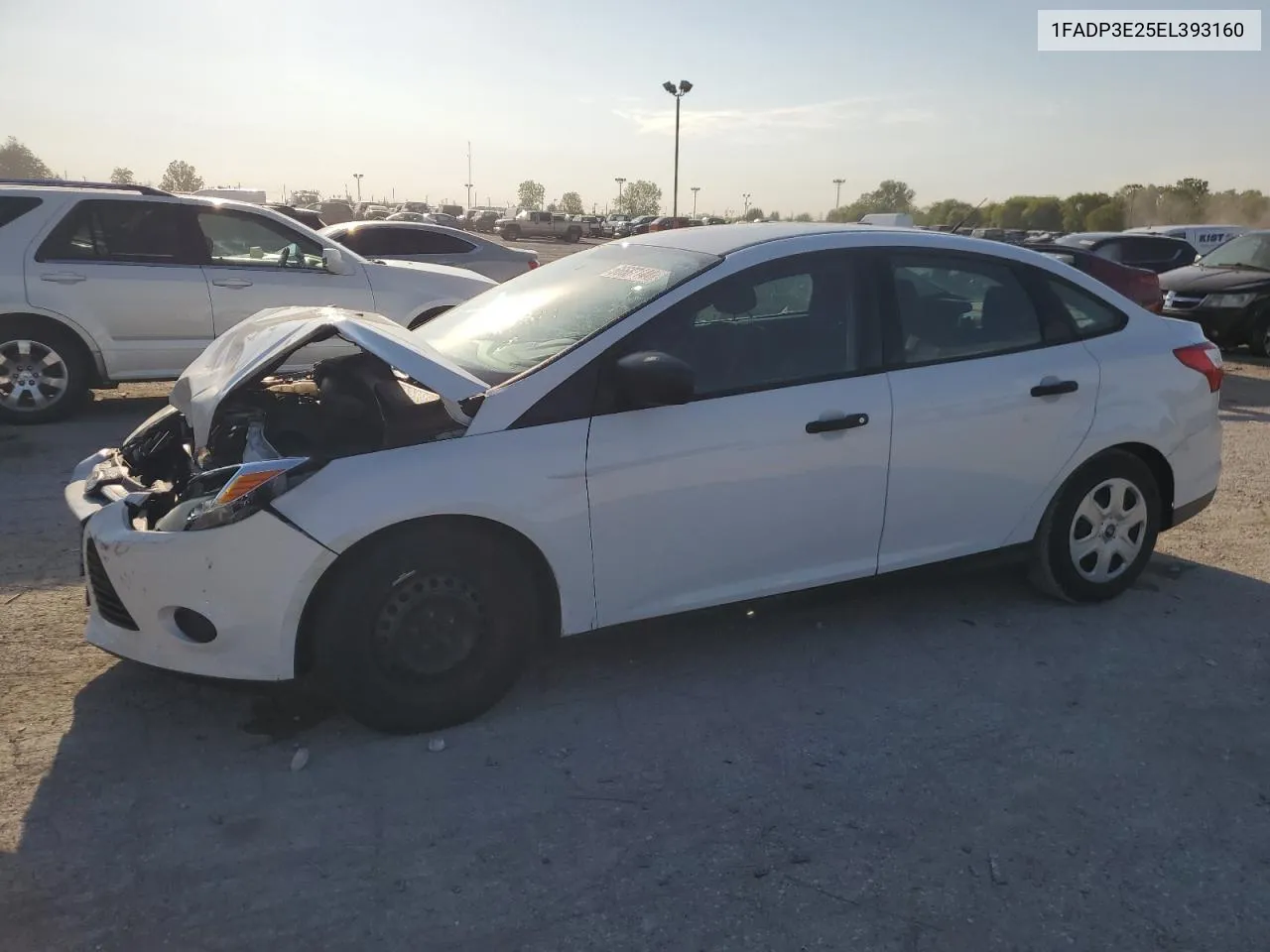 2014 Ford Focus S VIN: 1FADP3E25EL393160 Lot: 66687144