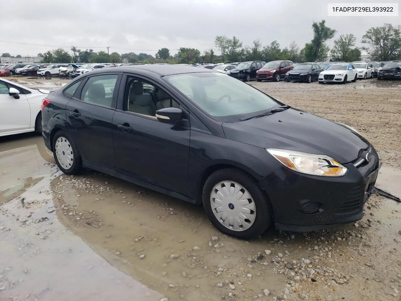 2014 Ford Focus Se VIN: 1FADP3F29EL393922 Lot: 67286904