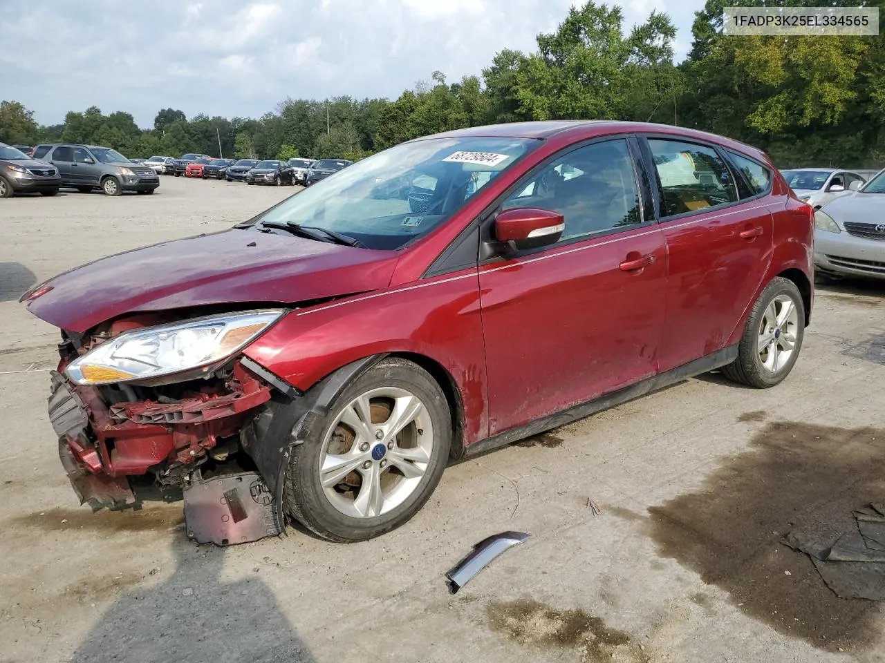 2014 Ford Focus Se VIN: 1FADP3K25EL334565 Lot: 68729504