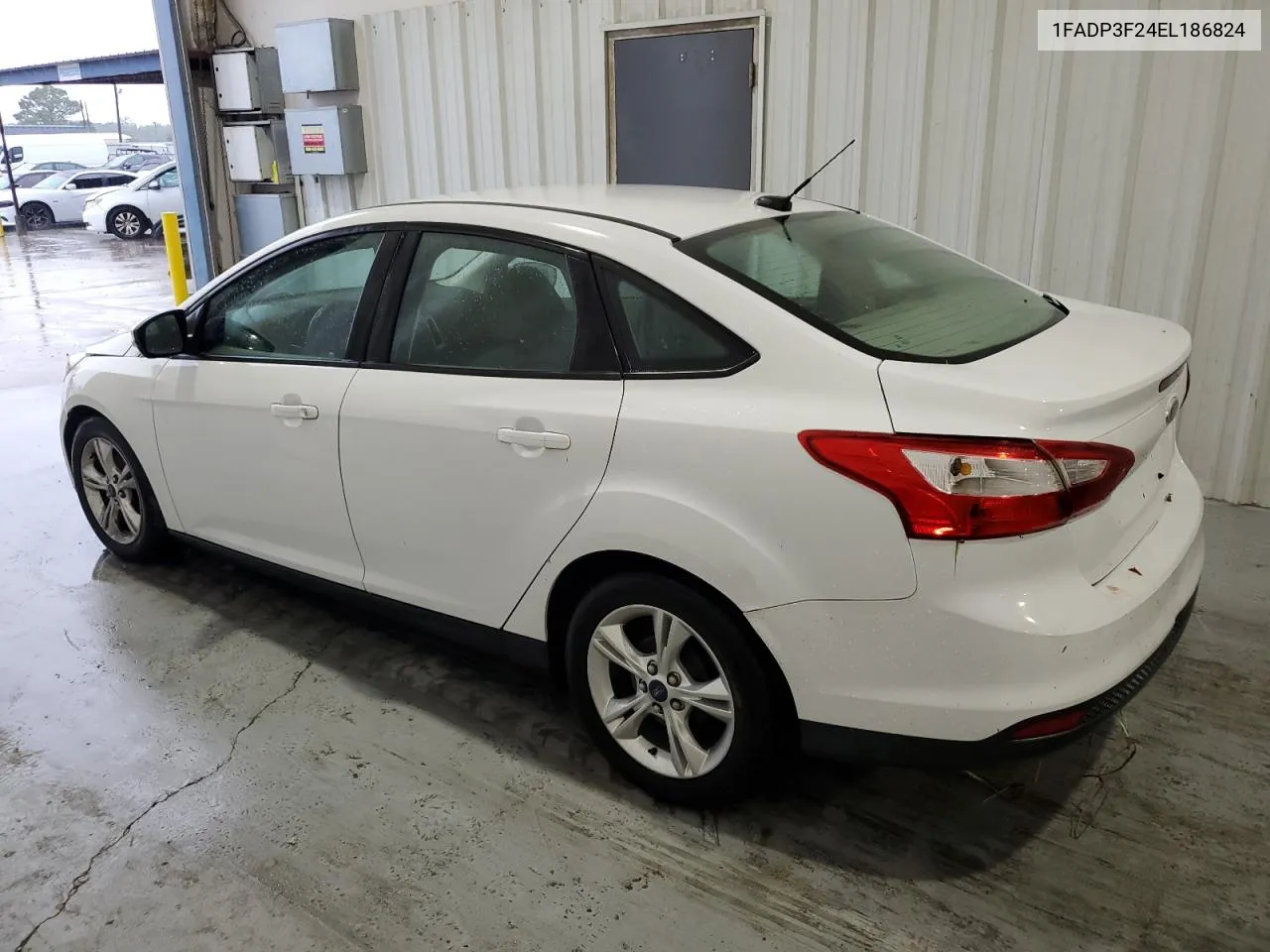 2014 Ford Focus Se VIN: 1FADP3F24EL186824 Lot: 69541114