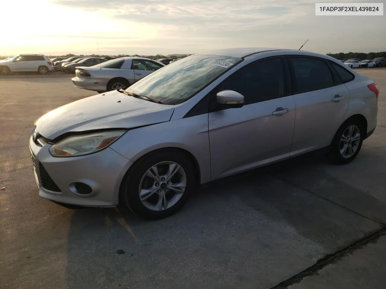 2014 Ford Focus Se VIN: 1FADP3F2XEL439824 Lot: 69964534