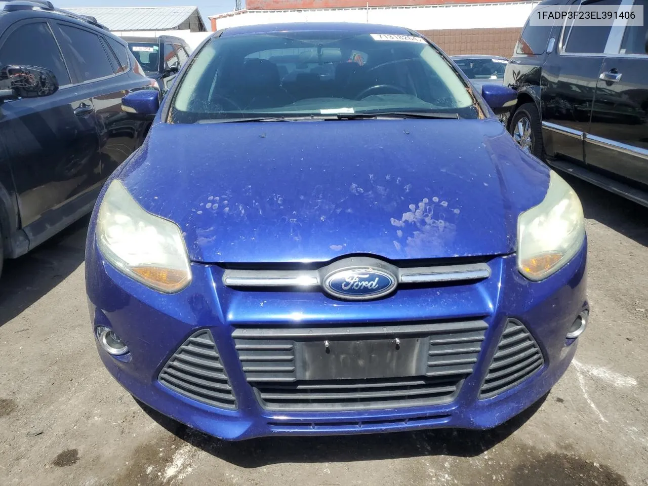 1FADP3F23EL391406 2014 Ford Focus Se