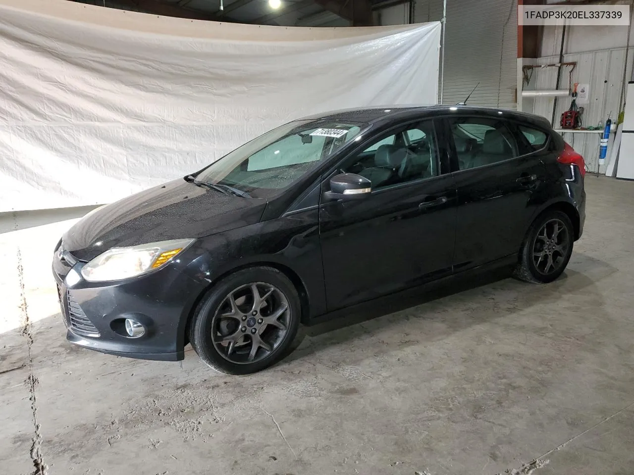 2014 Ford Focus Se VIN: 1FADP3K20EL337339 Lot: 71380344