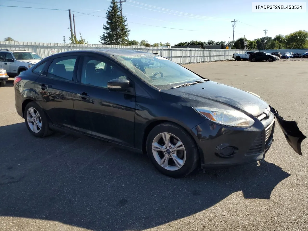 2014 Ford Focus Se VIN: 1FADP3F29EL450524 Lot: 71610884