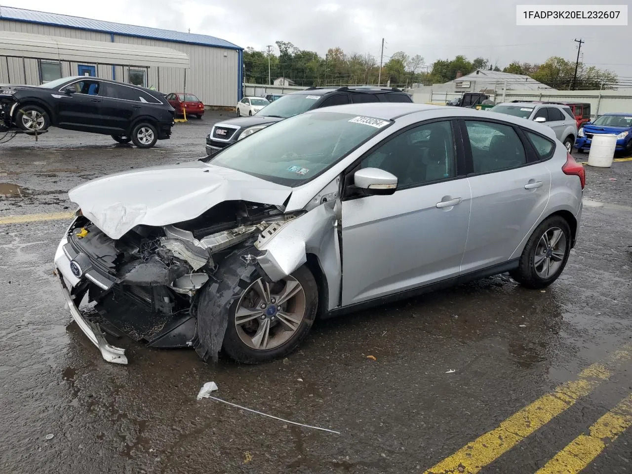 2014 Ford Focus Se VIN: 1FADP3K20EL232607 Lot: 73133264