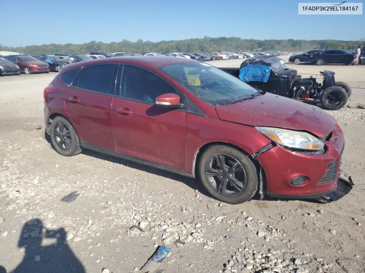 2014 Ford Focus Se VIN: 1FADP3K29EL184167 Lot: 73224764