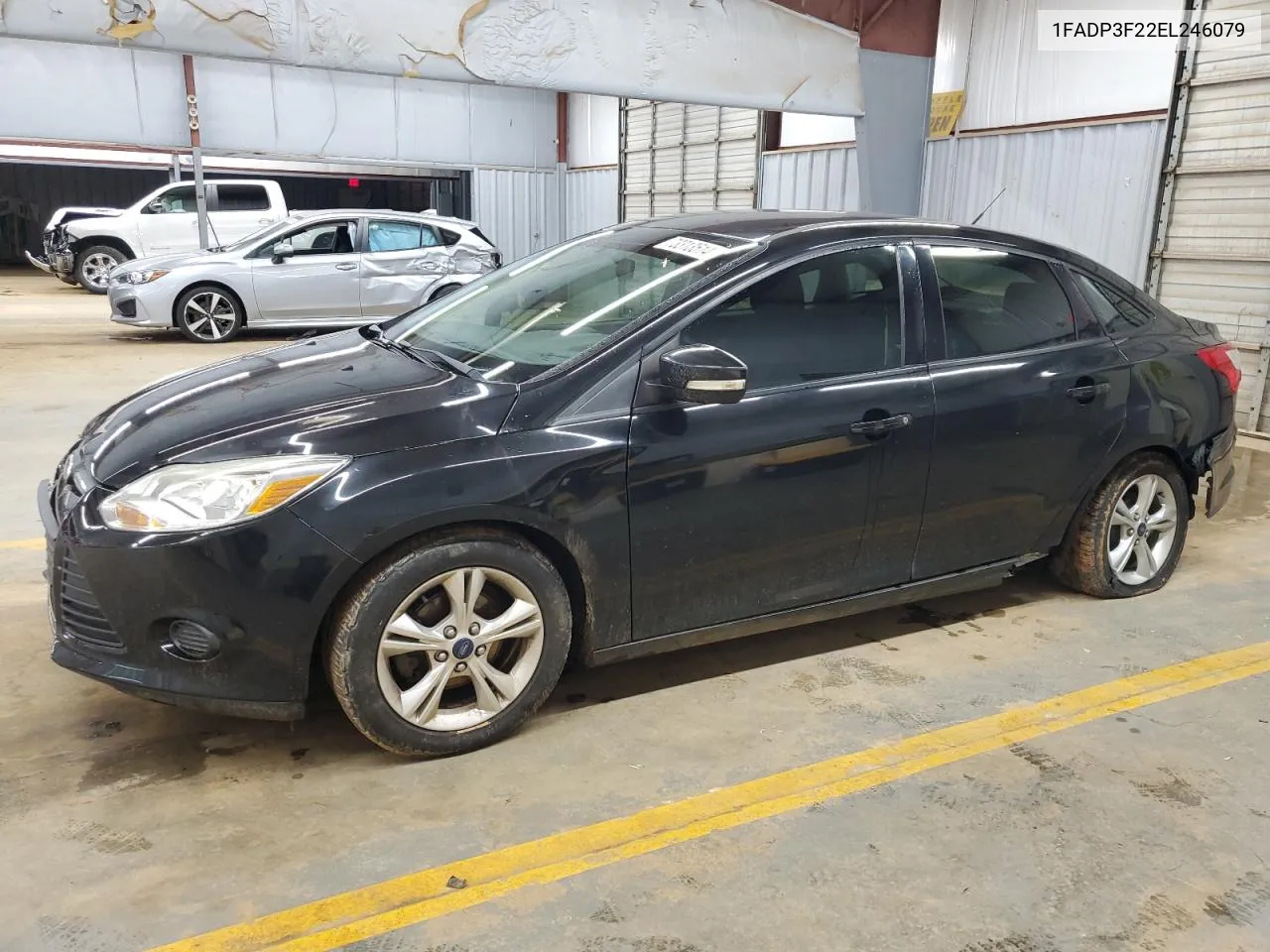 2014 Ford Focus Se VIN: 1FADP3F22EL246079 Lot: 73313514