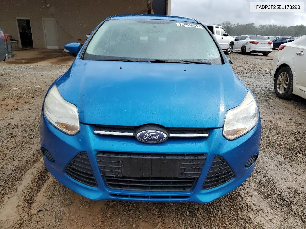 2014 Ford Focus Se VIN: 1FADP3F25EL173290 Lot: 73501994