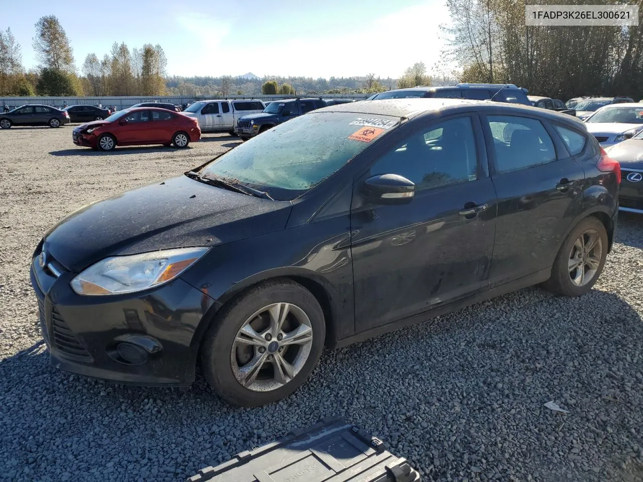 2014 Ford Focus Se VIN: 1FADP3K26EL300621 Lot: 73944254