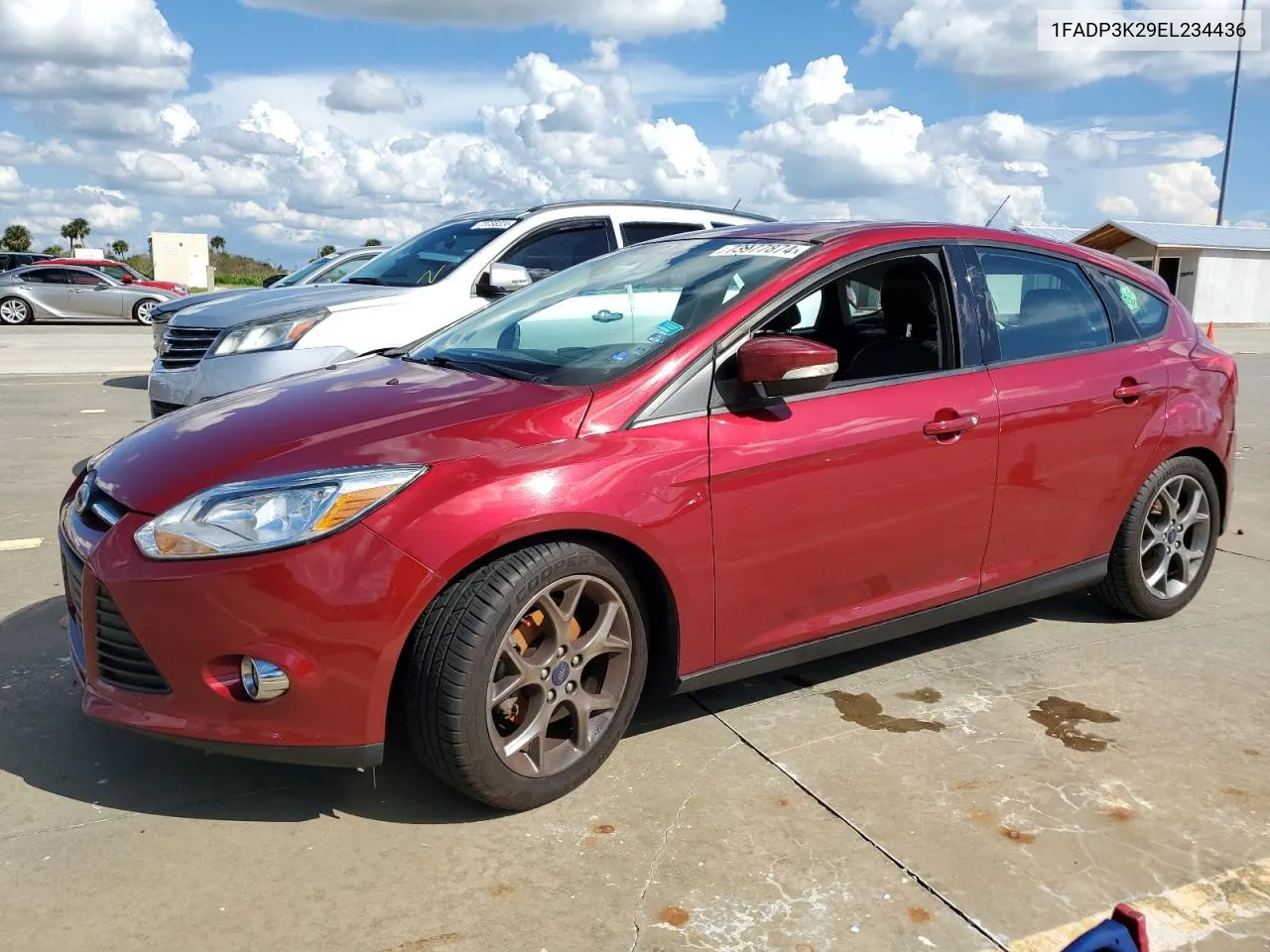 2014 Ford Focus Se VIN: 1FADP3K29EL234436 Lot: 73977874