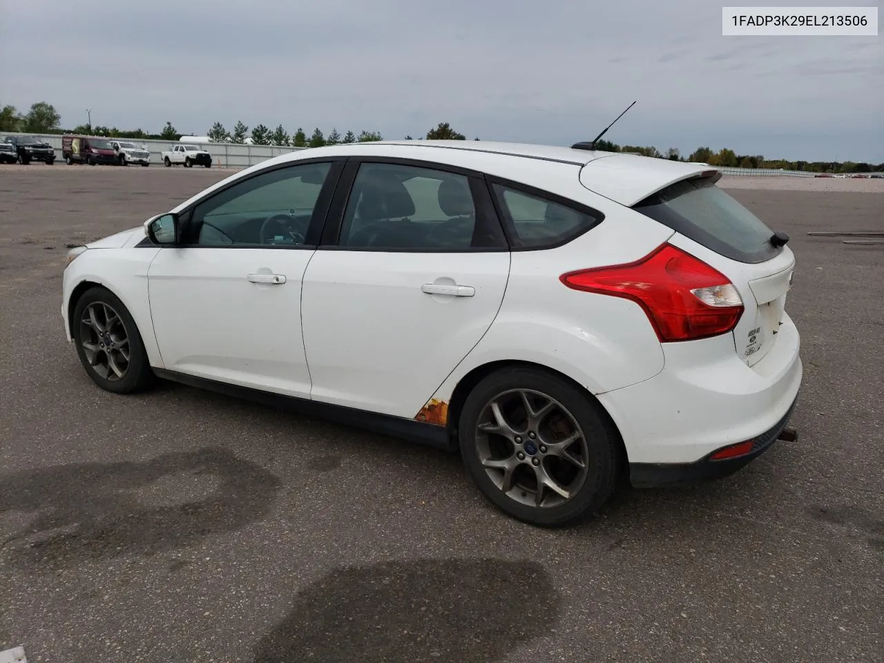 2014 Ford Focus Se VIN: 1FADP3K29EL213506 Lot: 74217754