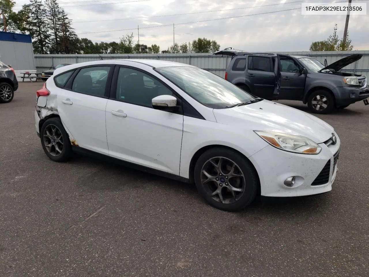 2014 Ford Focus Se VIN: 1FADP3K29EL213506 Lot: 74217754