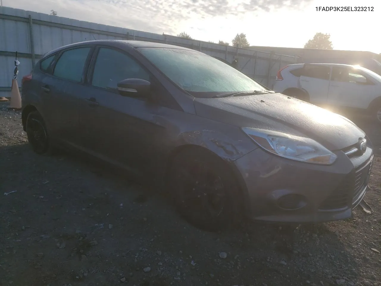 2014 Ford Focus Se VIN: 1FADP3K25EL323212 Lot: 74241464