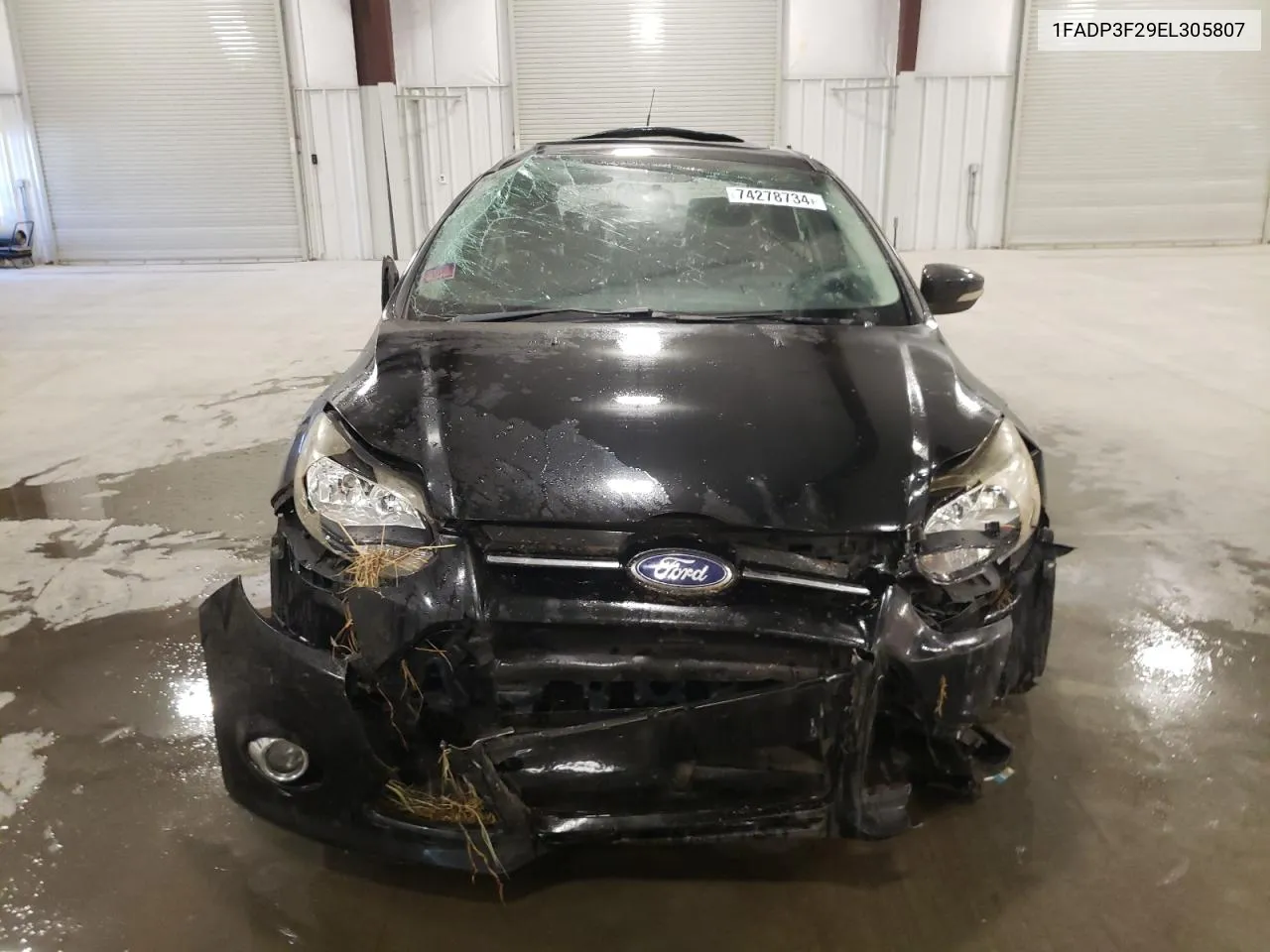 2014 Ford Focus Se VIN: 1FADP3F29EL305807 Lot: 74278734