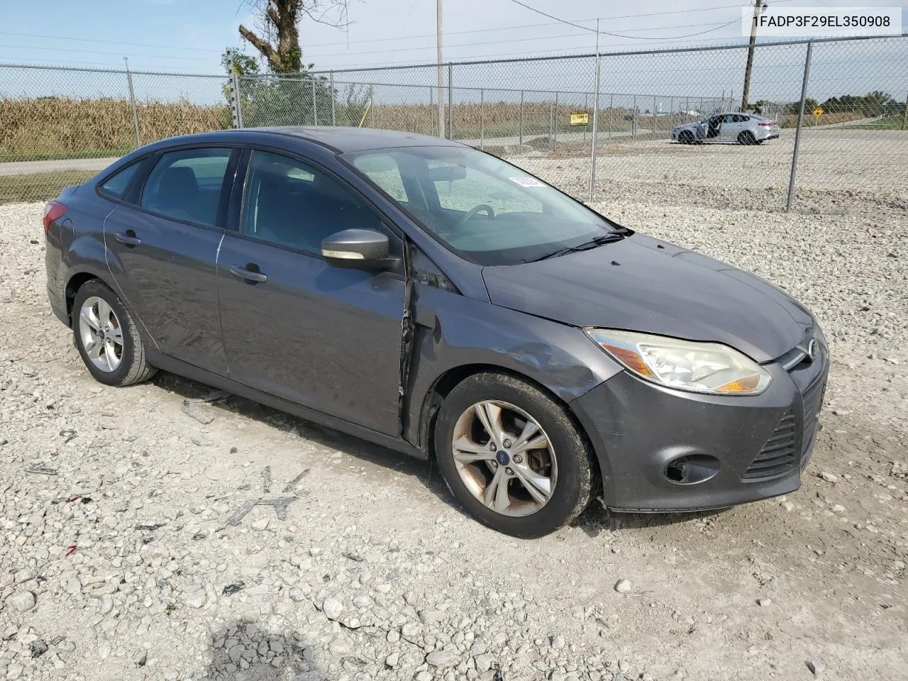 2014 Ford Focus Se VIN: 1FADP3F29EL350908 Lot: 74535234