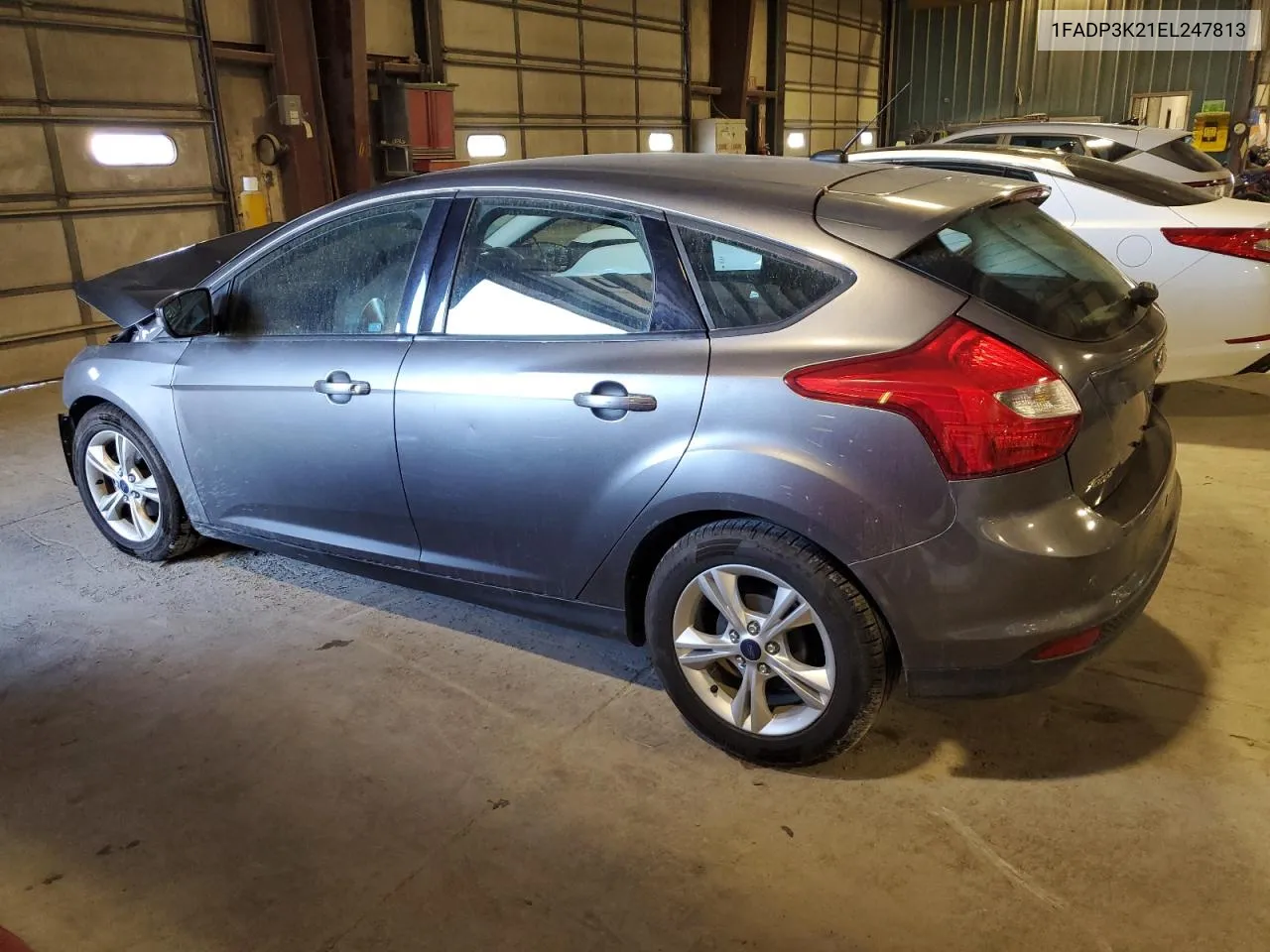 1FADP3K21EL247813 2014 Ford Focus Se