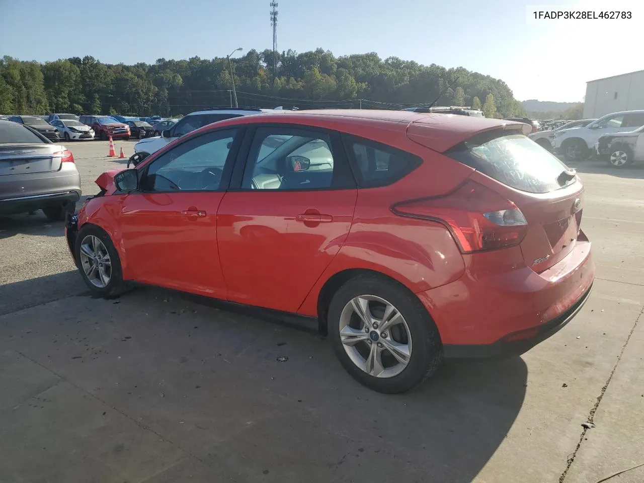 2014 Ford Focus Se VIN: 1FADP3K28EL462783 Lot: 75441644