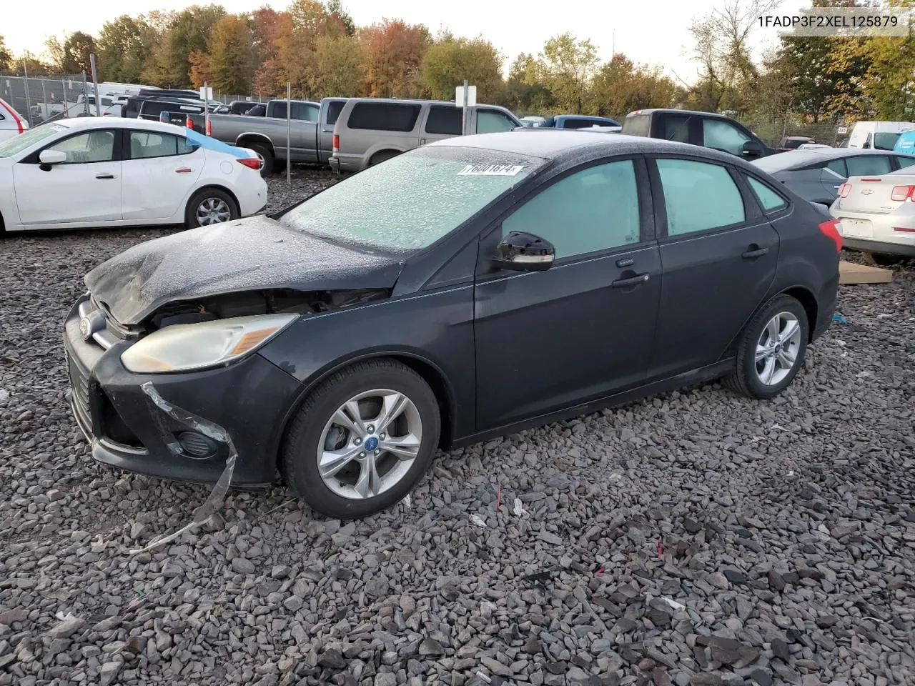 2014 Ford Focus Se VIN: 1FADP3F2XEL125879 Lot: 76001674