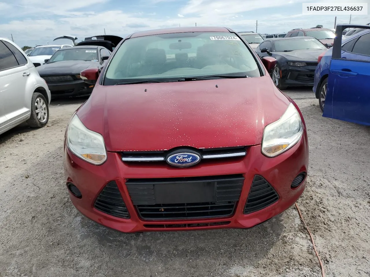 2014 Ford Focus Se VIN: 1FADP3F27EL436637 Lot: 76067024