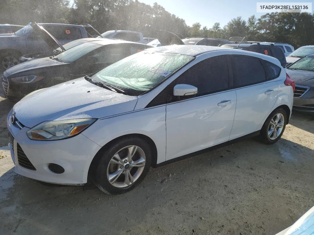 2014 Ford Focus Se VIN: 1FADP3K28EL153136 Lot: 76331614