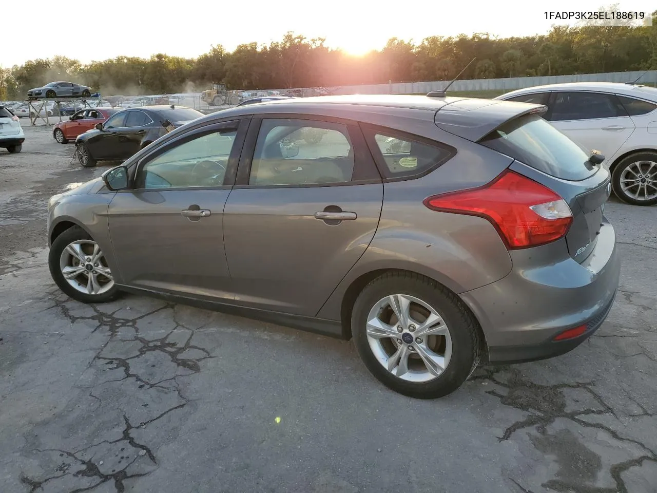 2014 Ford Focus Se VIN: 1FADP3K25EL188619 Lot: 76475074