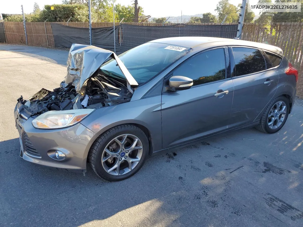 2014 Ford Focus Se VIN: 1FADP3K22EL276835 Lot: 77391064