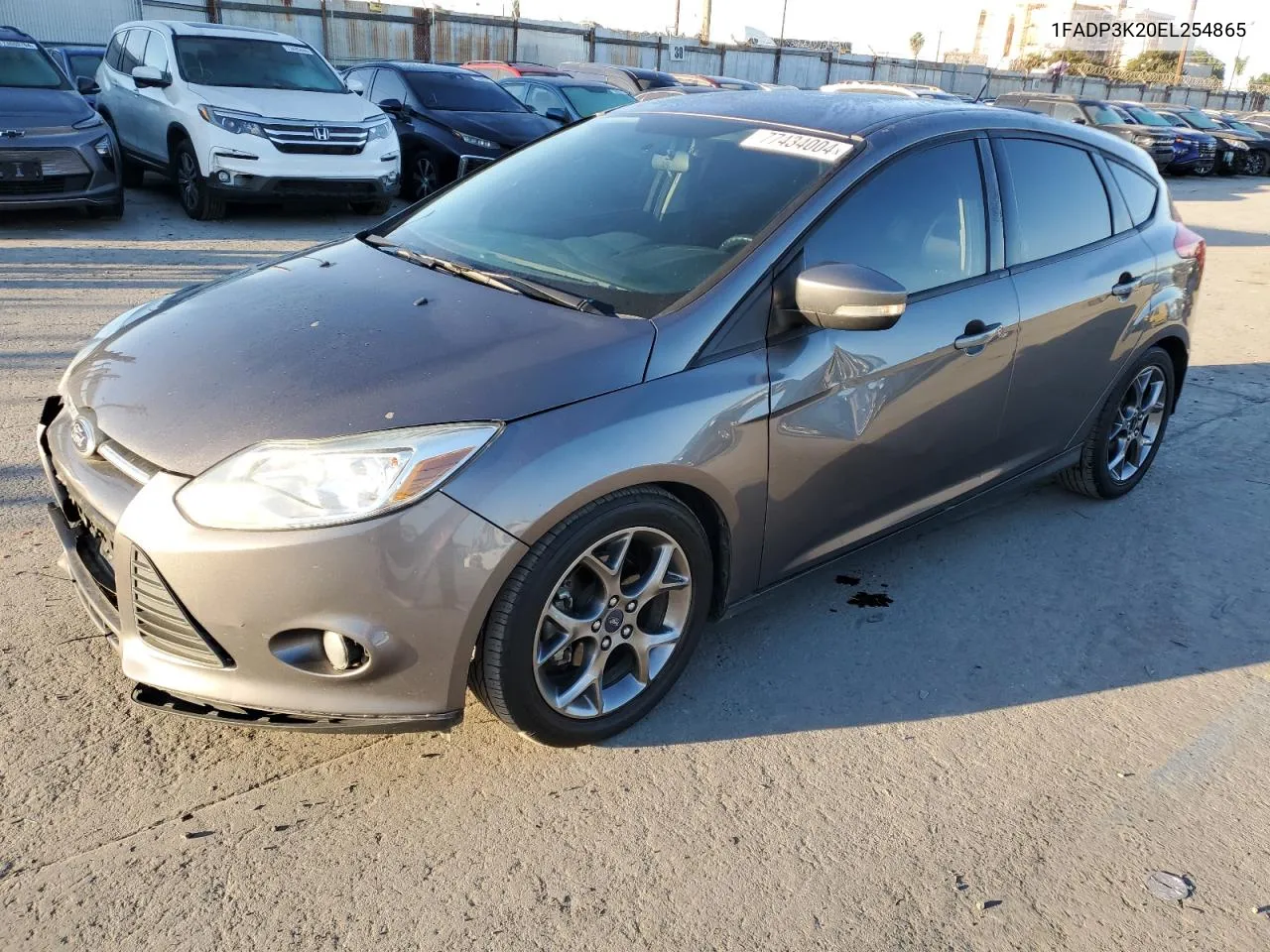 2014 Ford Focus Se VIN: 1FADP3K20EL254865 Lot: 77434004