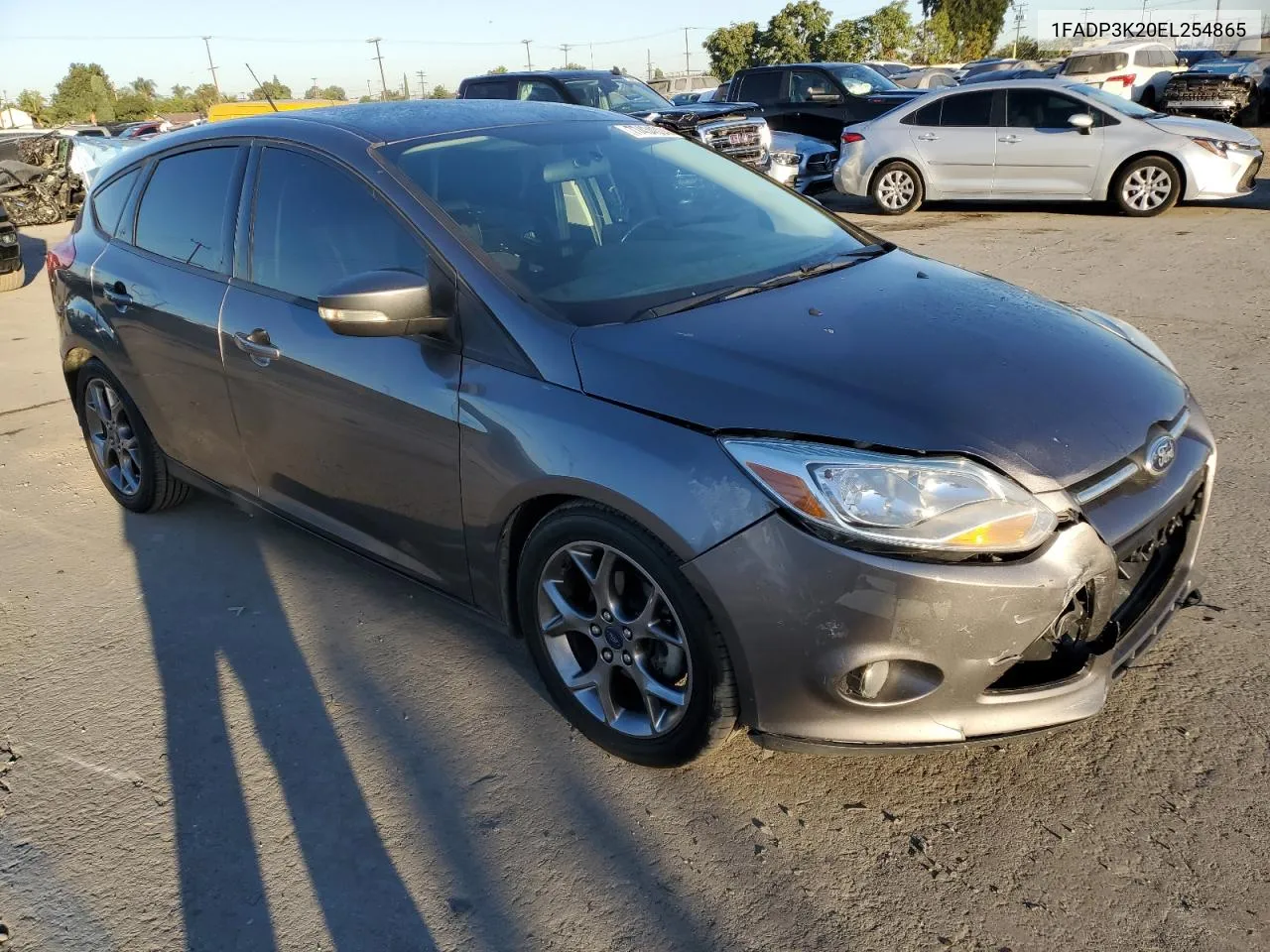 2014 Ford Focus Se VIN: 1FADP3K20EL254865 Lot: 77434004