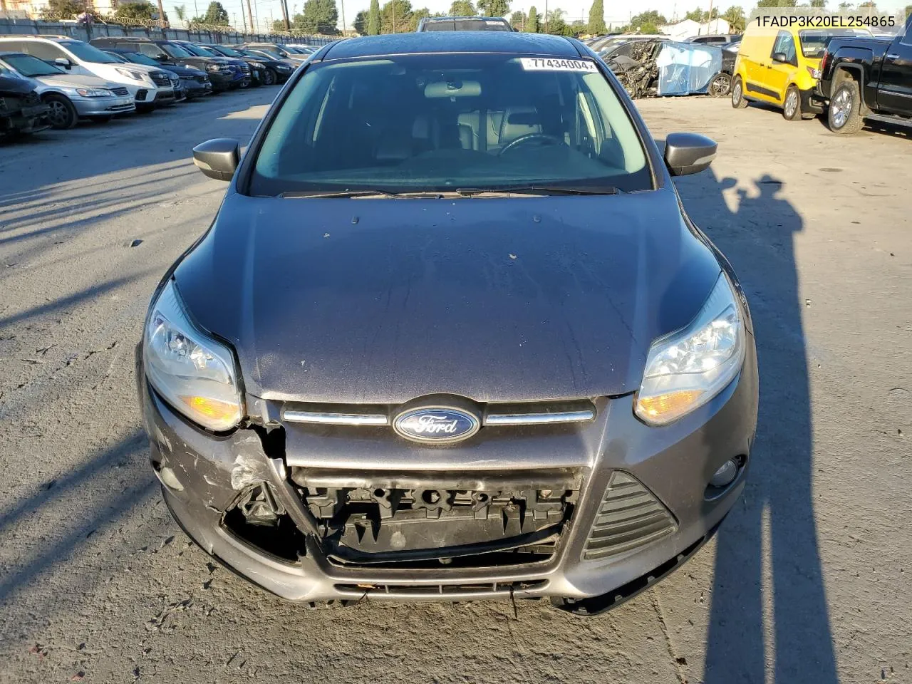 2014 Ford Focus Se VIN: 1FADP3K20EL254865 Lot: 77434004