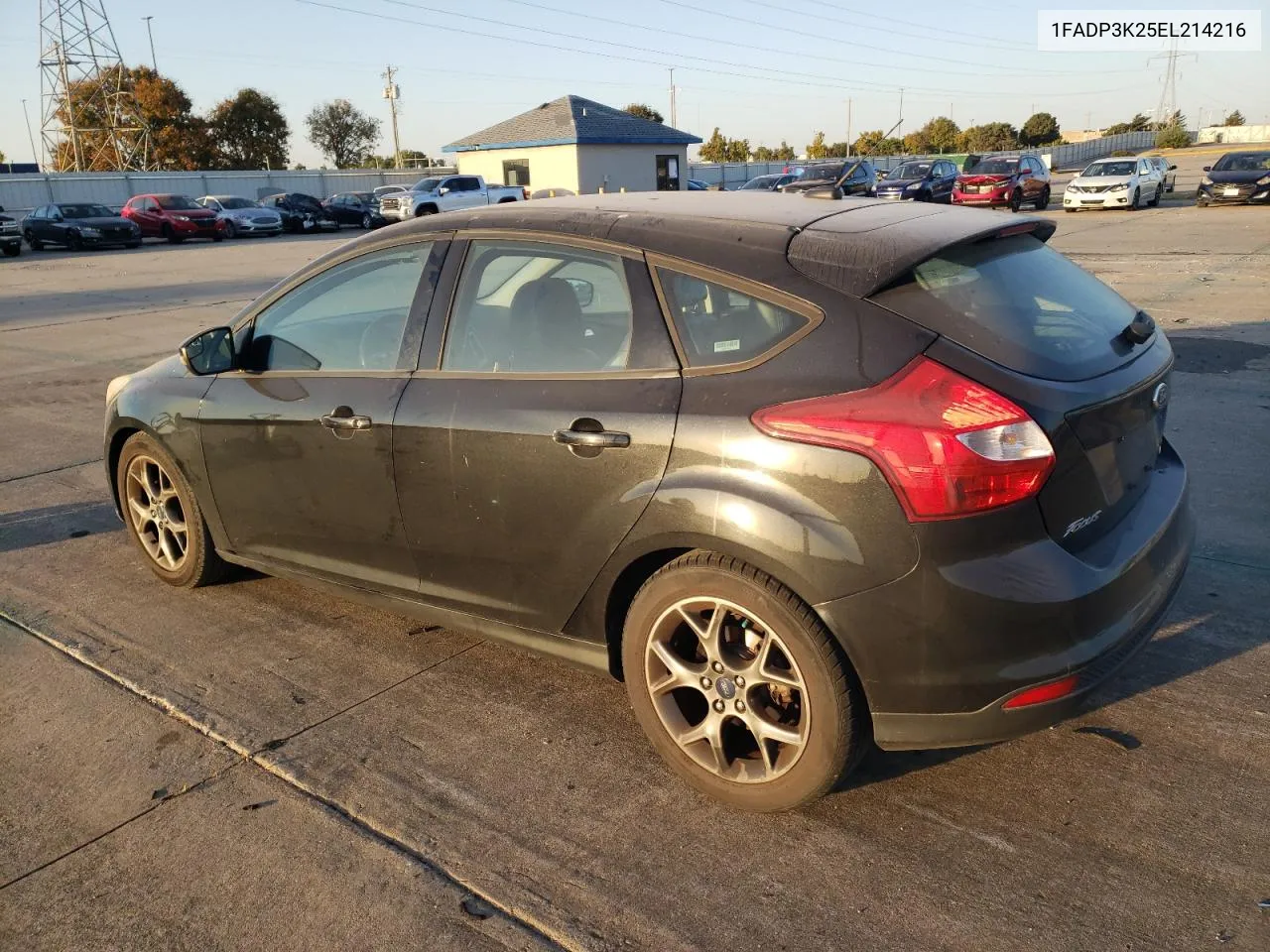 2014 Ford Focus Se VIN: 1FADP3K25EL214216 Lot: 77775734