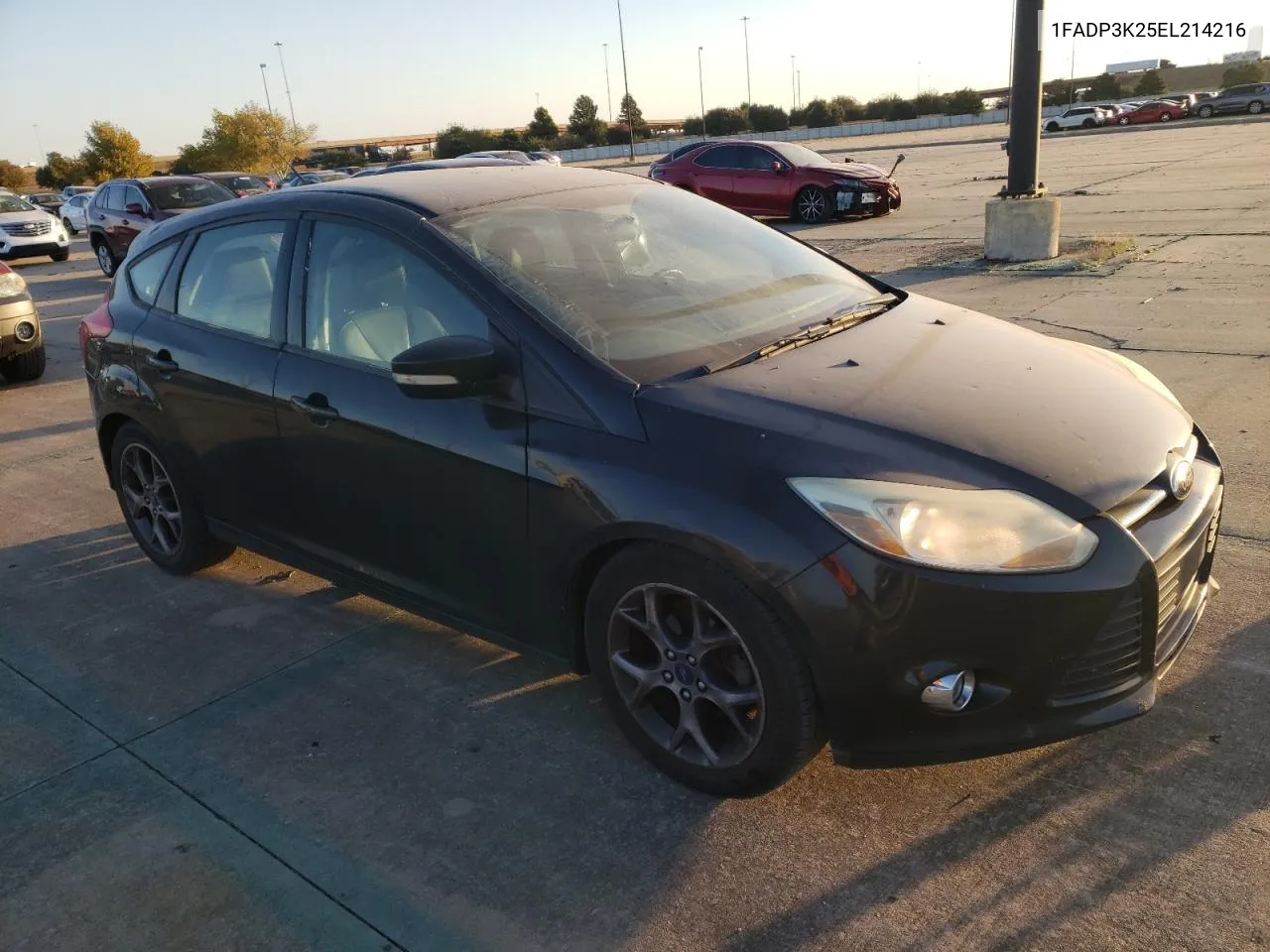 2014 Ford Focus Se VIN: 1FADP3K25EL214216 Lot: 77775734