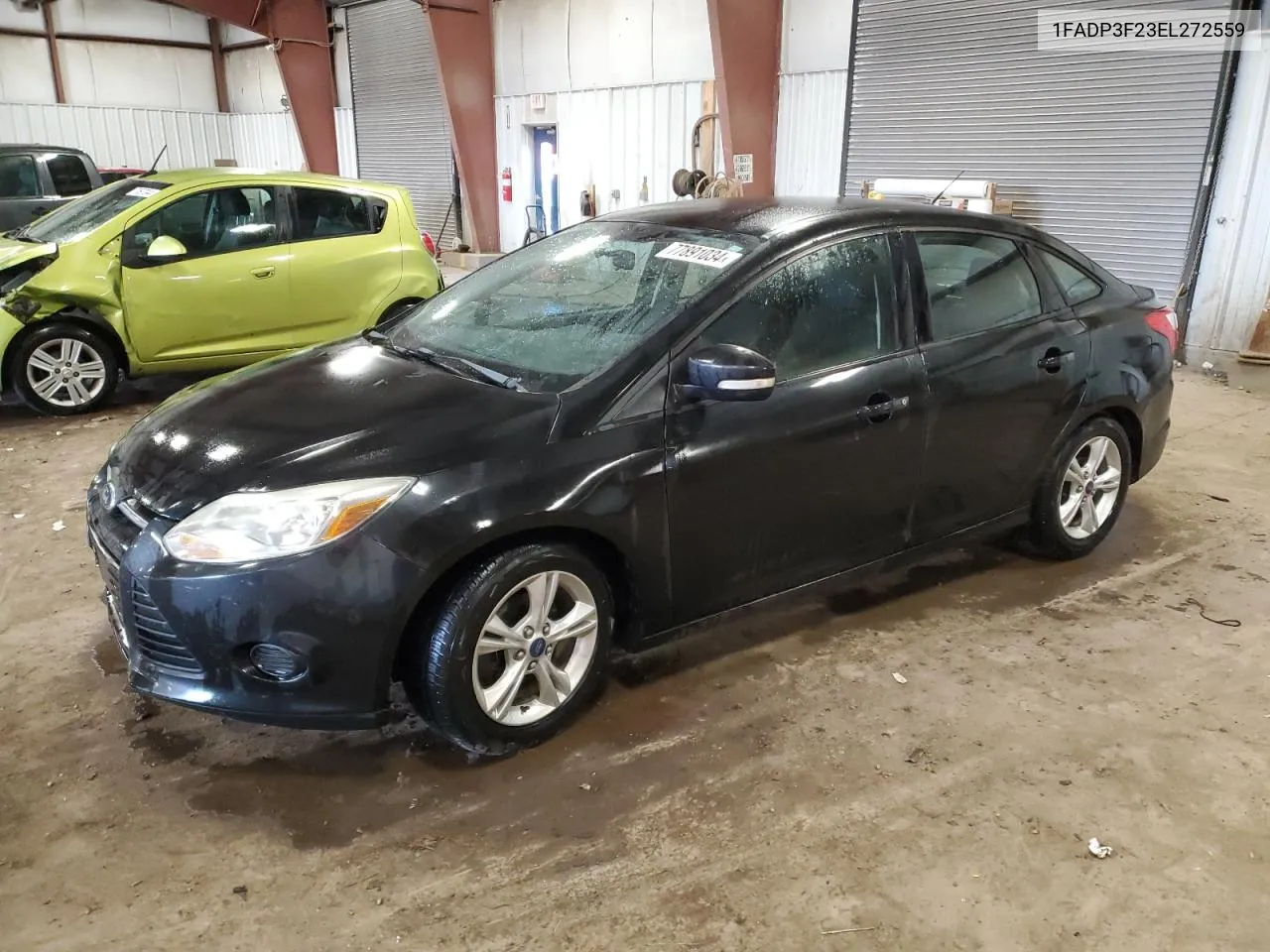 2014 Ford Focus Se VIN: 1FADP3F23EL272559 Lot: 77891034