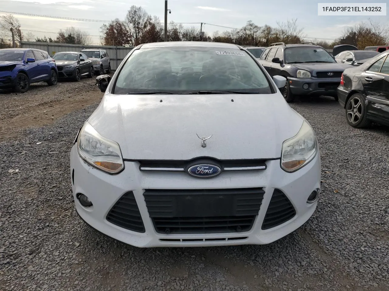 2014 Ford Focus Se VIN: 1FADP3F21EL143252 Lot: 77993634