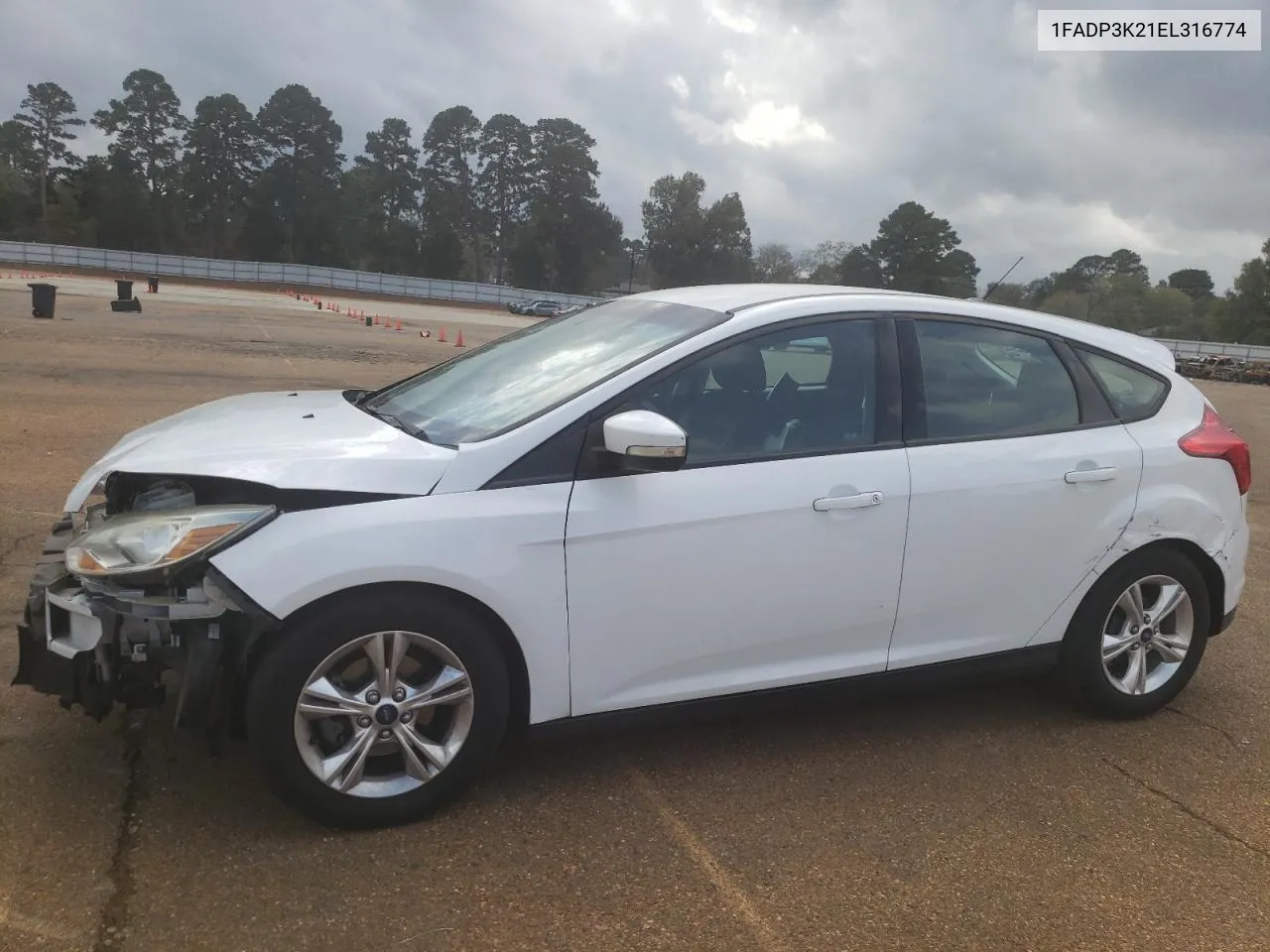 2014 Ford Focus Se VIN: 1FADP3K21EL316774 Lot: 78178974