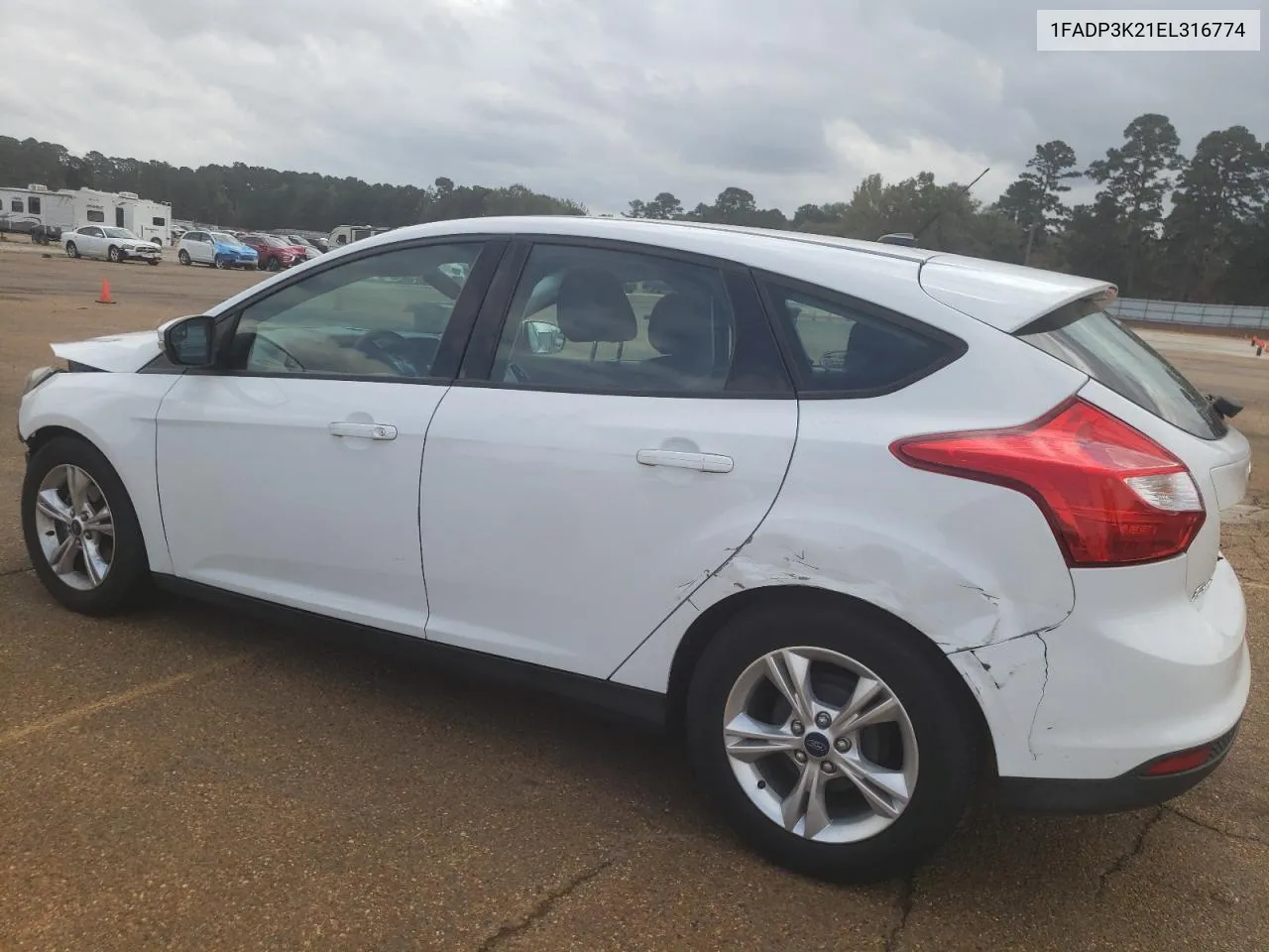 2014 Ford Focus Se VIN: 1FADP3K21EL316774 Lot: 78178974