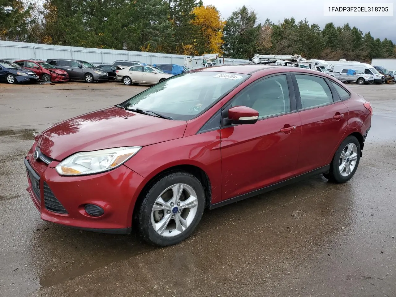 2014 Ford Focus Se VIN: 1FADP3F20EL318705 Lot: 78345484