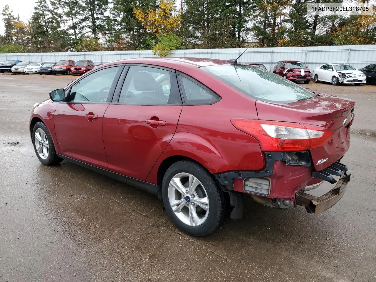 2014 Ford Focus Se VIN: 1FADP3F20EL318705 Lot: 78345484