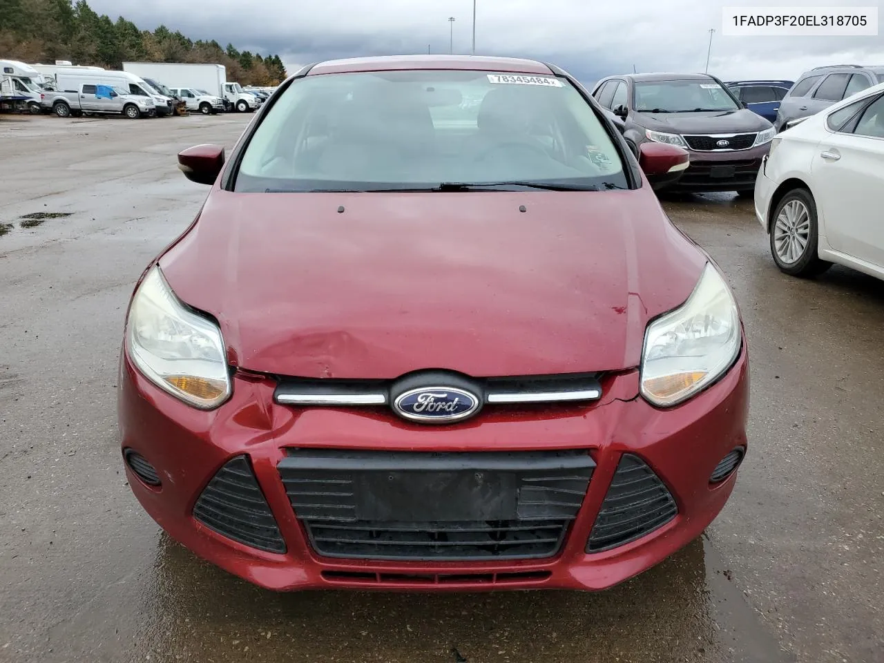 2014 Ford Focus Se VIN: 1FADP3F20EL318705 Lot: 78345484