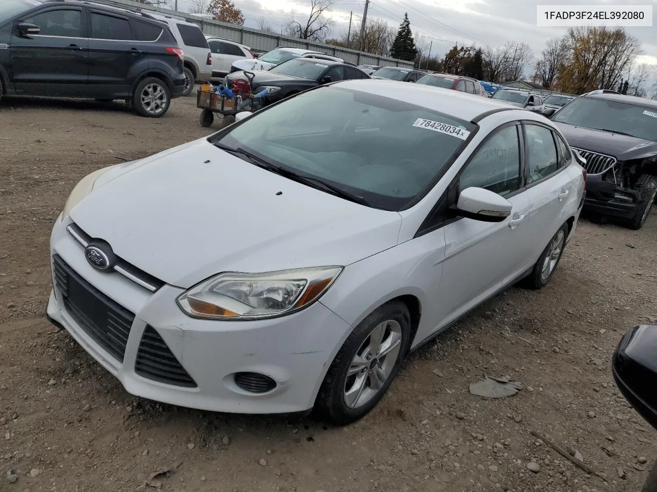 2014 Ford Focus Se VIN: 1FADP3F24EL392080 Lot: 78428034