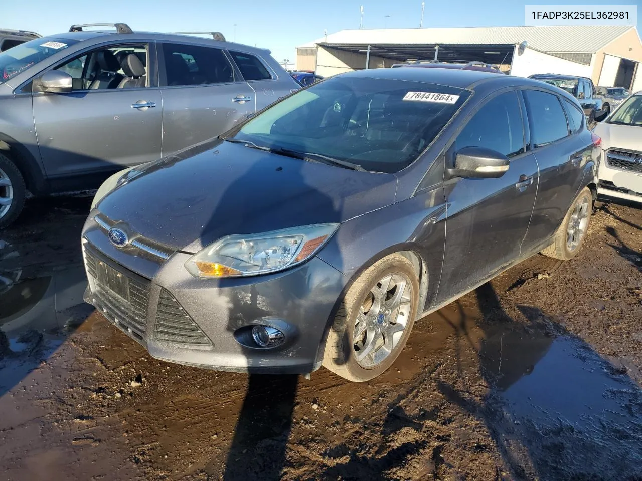 2014 Ford Focus Se VIN: 1FADP3K25EL362981 Lot: 78441864