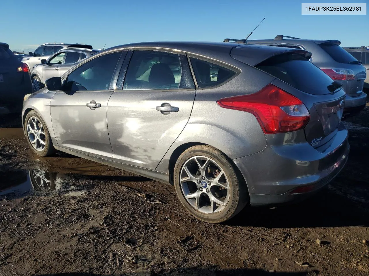 2014 Ford Focus Se VIN: 1FADP3K25EL362981 Lot: 78441864