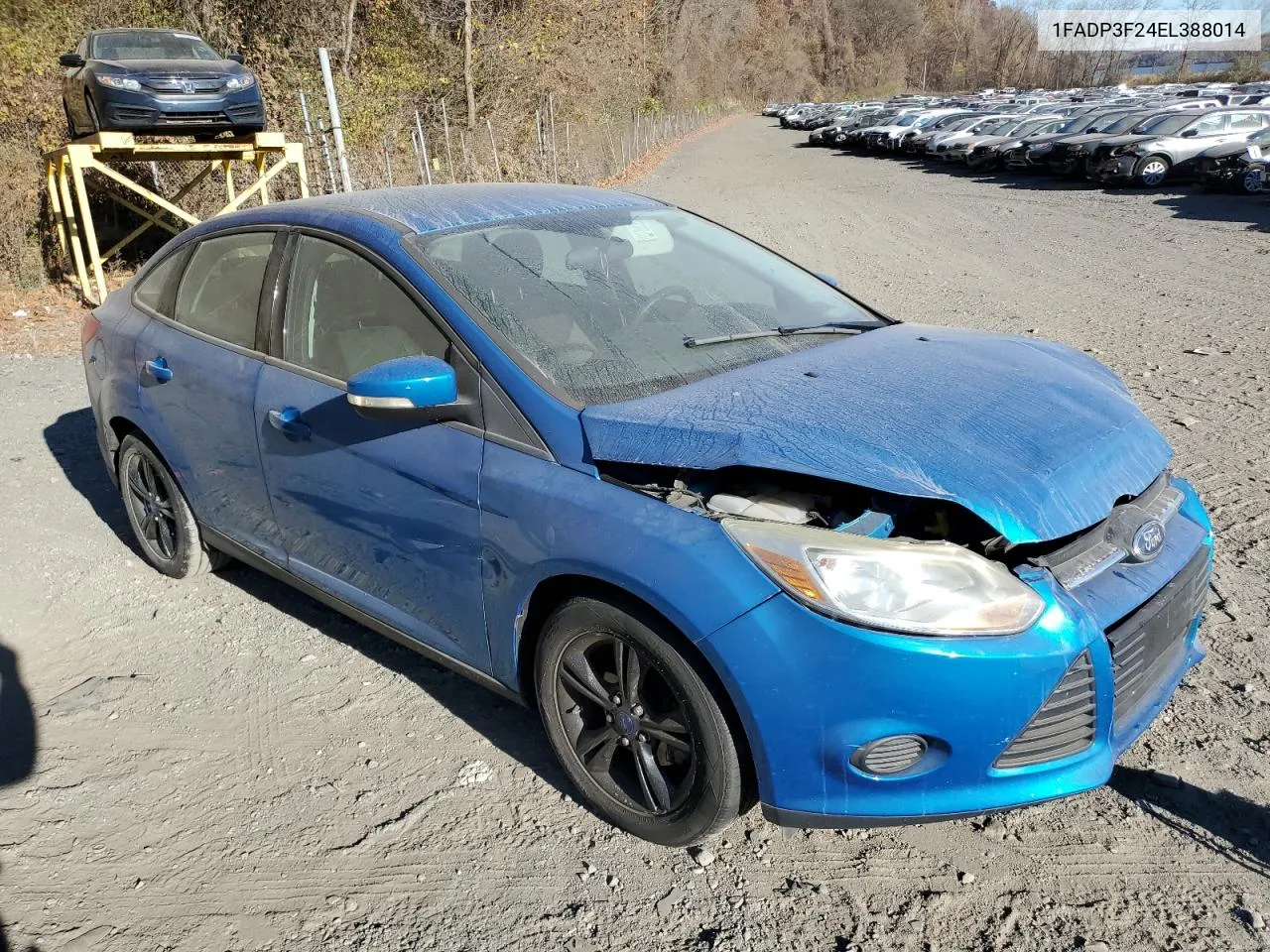 2014 Ford Focus Se VIN: 1FADP3F24EL388014 Lot: 79754994