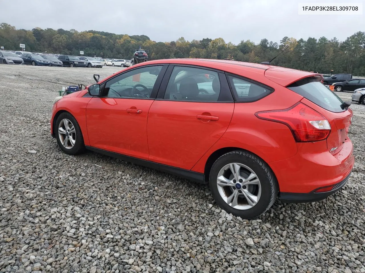 2014 Ford Focus Se VIN: 1FADP3K28EL309708 Lot: 79764884